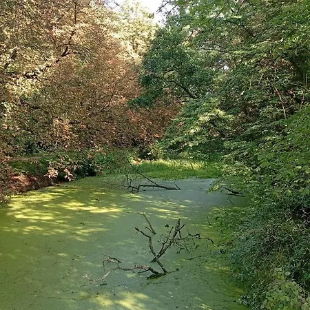 Luxus Business Mit Badewanne Balkon Und Tiefgaragenstellplatz